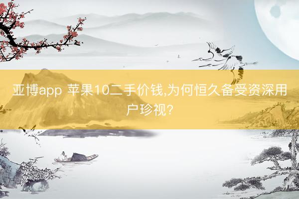 亚博app 苹果10二手价钱，为何恒久备受资深用户珍视?