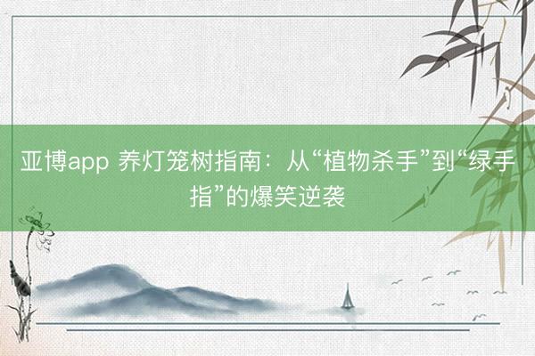 亚博app 养灯笼树指南：从“植物杀手”到“绿手指”的爆笑逆袭
