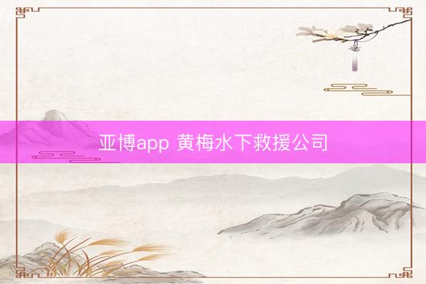 亚博app 黄梅水下救援公司