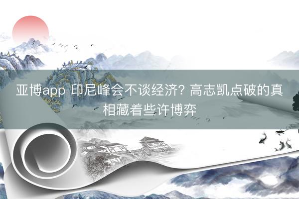亚博app 印尼峰会不谈经济? 高志凯点破的真相藏着些许博弈