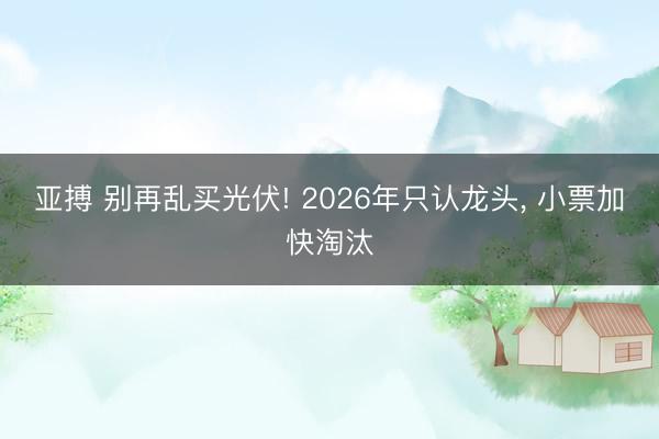 亚搏 别再乱买光伏! 2026年只认龙头, 小票加快淘汰