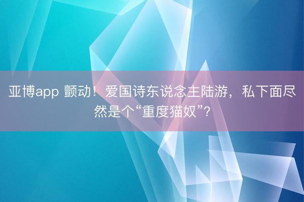 亚博app 颤动！爱国诗东说念主陆游，私下面尽然是个“重度猫奴”？